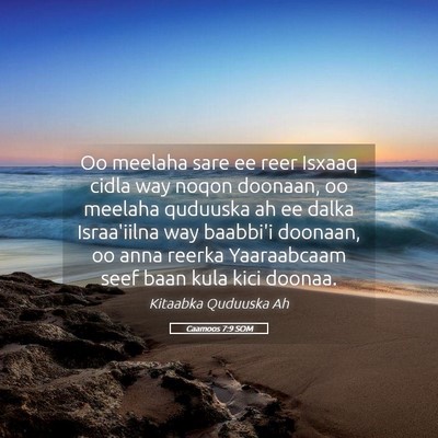 Picture 05 - Caamoos 7:9 SOM - Oo meelaha sare ee reer Isxaaq cidla way noqon - Bible Verse Picture