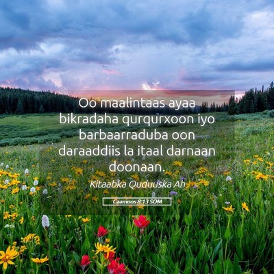 Picture 05 - Caamoos 8:13 SOM - Oo maalintaas ayaa bikradaha qurqurxoon iyo - Bible Verse Picture
