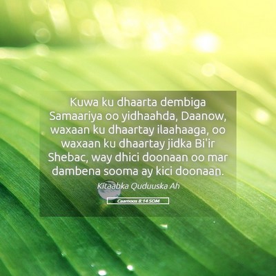 Picture 05 - Caamoos 8:14 SOM - Kuwa ku dhaarta dembiga Samaariya oo yidhaahda, - Bible Verse Picture