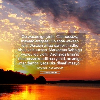 Picture 05 - Caamoos 8:2 SOM - Oo wuxuu igu yidhi, Caamoosow, maxaad aragtaa? Oo - Bible Verse Picture