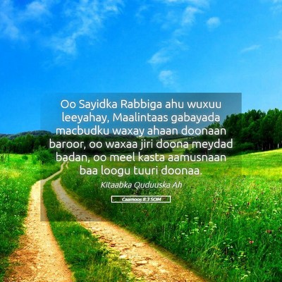 Picture 05 - Caamoos 8:3 SOM - Oo Sayidka Rabbiga ahu wuxuu leeyahay, Maalintaas - Bible Verse Picture