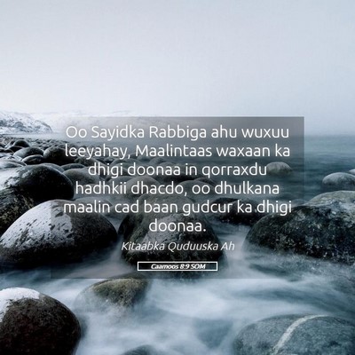 Picture 05 - Caamoos 8:9 SOM - Oo Sayidka Rabbiga ahu wuxuu leeyahay, Maalintaas - Bible Verse Picture