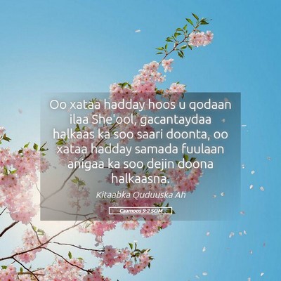 Picture 05 - Caamoos 9:2 SOM - Oo xataa hadday hoos u qodaan ilaa She'ool, - Bible Verse Picture