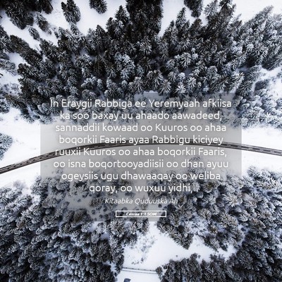 Picture 05 - Cesraa 1:1 SOM - In Eraygii Rabbiga ee Yeremyaah afkiisa ka soo - Bible Verse Picture