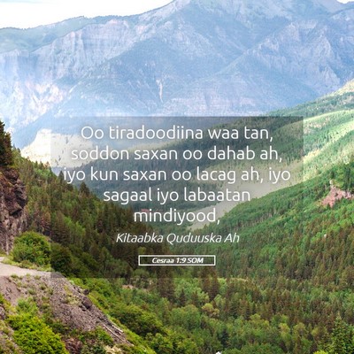 Picture 05 - Cesraa 1:9 SOM - Oo tiradoodiina waa tan, soddon saxan oo dahab - Bible Verse Picture