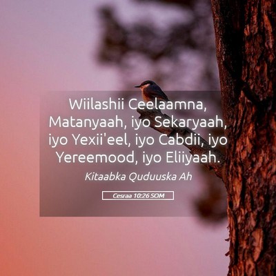 Picture 05 - Cesraa 10:26 SOM - Wiilashii Ceelaamna, Matanyaah, iyo Sekaryaah, - Bible Verse Picture
