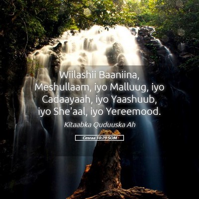 Picture 05 - Cesraa 10:29 SOM - Wiilashii Baaniina, Meshullaam, iyo Malluug, iyo - Bible Verse Picture