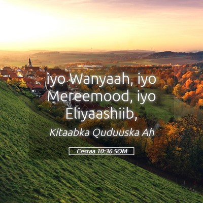 Picture 05 - Cesraa 10:36 SOM - iyo Wanyaah, iyo Mereemood, iyo - Bible Verse Picture