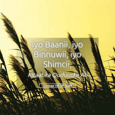 Picture 05 - Cesraa 10:38 SOM - iyo Baanii, iyo Binnuwii, iyo - Bible Verse Picture