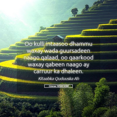 Picture 05 - Cesraa 10:44 SOM - Oo kulli intaasoo dhammu waxay wada guursadeen - Bible Verse Picture