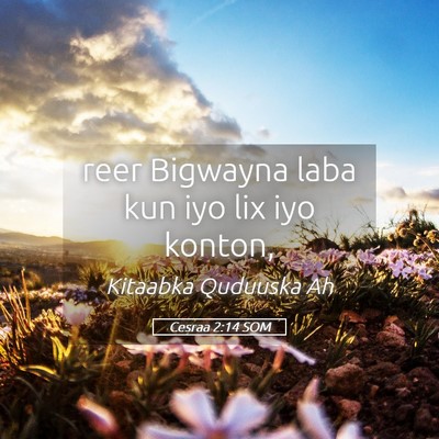 Picture 05 - Cesraa 2:14 SOM - reer Bigwayna laba kun iyo lix iyo - Bible Verse Picture