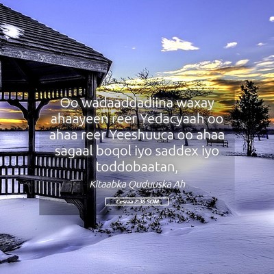 Picture 05 - Cesraa 2:36 SOM - Oo wadaaddadiina waxay ahaayeen reer Yedacyaah oo - Bible Verse Picture