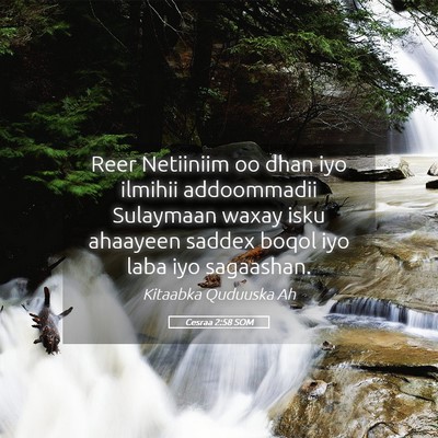 Picture 05 - Cesraa 2:58 SOM - Reer Netiiniim oo dhan iyo ilmihii addoommadii - Bible Verse Picture