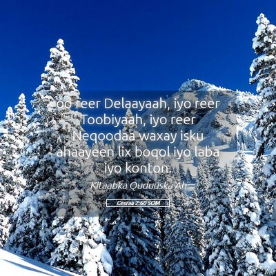 Picture 05 - Cesraa 2:60 SOM - oo reer Delaayaah, iyo reer Toobiyaah, iyo reer - Bible Verse Picture