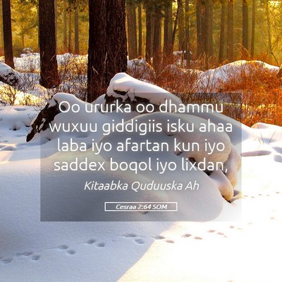 Picture 05 - Cesraa 2:64 SOM - Oo ururka oo dhammu wuxuu giddigiis isku ahaa - Bible Verse Picture