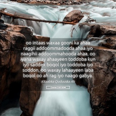 Picture 05 - Cesraa 2:65 SOM - oo intaas waxaa gooni ka ahaa raggii - Bible Verse Picture