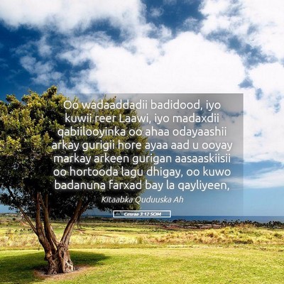 Picture 05 - Cesraa 3:12 SOM - Oo wadaaddadii badidood, iyo kuwii reer Laawi, - Bible Verse Picture