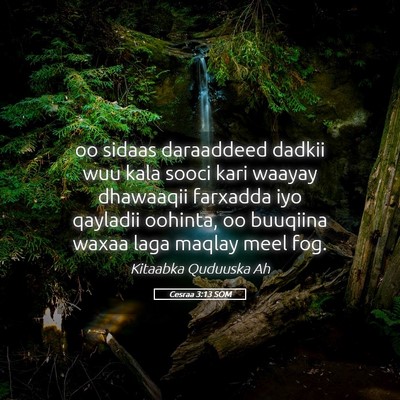 Picture 05 - Cesraa 3:13 SOM - oo sidaas daraaddeed dadkii wuu kala sooci kari - Bible Verse Picture
