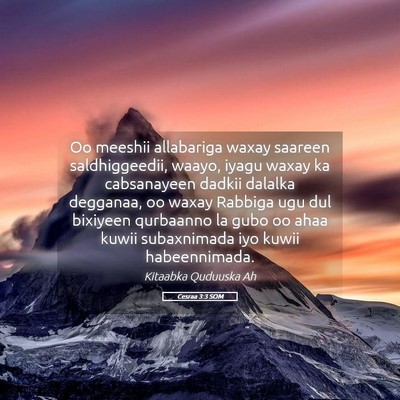Picture 05 - Cesraa 3:3 SOM - Oo meeshii allabariga waxay saareen - Bible Verse Picture