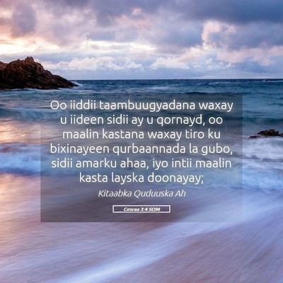 Picture 05 - Cesraa 3:4 SOM - Oo iiddii taambuugyadana waxay u iideen sidii ay - Bible Verse Picture