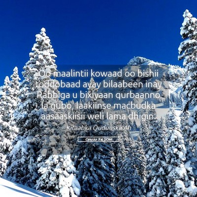 Picture 05 - Cesraa 3:6 SOM - Oo maalintii kowaad oo bishii toddobaad ayay - Bible Verse Picture