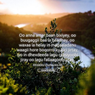 Picture 05 - Cesraa 4:19 SOM - Oo anna amar baan bixiyey, oo buugaggii baa la - Bible Verse Picture