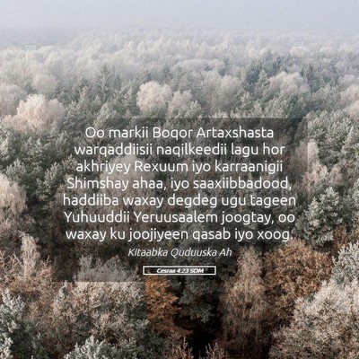 Picture 05 - Cesraa 4:23 SOM - Oo markii Boqor Artaxshasta warqaddiisii - Bible Verse Picture