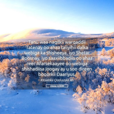Picture 05 - Cesraa 5:6 SOM - Tanu waa naqilkii warqaddii Tatenay oo ahaa - Bible Verse Picture