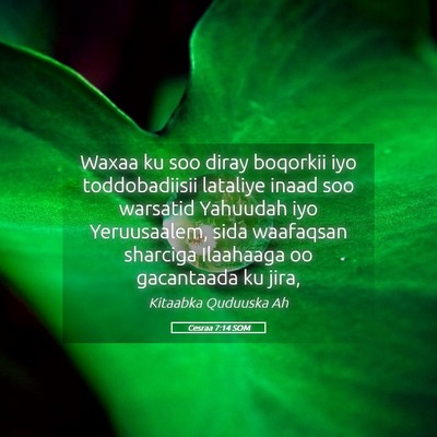 Picture 05 - Cesraa 7:14 SOM - Waxaa ku soo diray boqorkii iyo toddobadiisii - Bible Verse Picture
