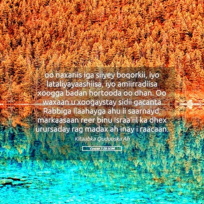 Picture 05 - Cesraa 7:28 SOM - oo naxariis iga siiyey boqorkii, iyo - Bible Verse Picture