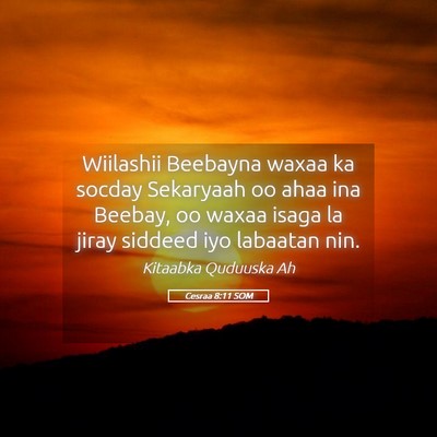Picture 05 - Cesraa 8:11 SOM - Wiilashii Beebayna waxaa ka socday Sekaryaah oo - Bible Verse Picture