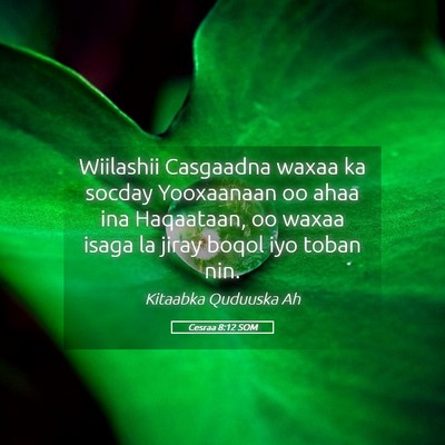 Picture 05 - Cesraa 8:12 SOM - Wiilashii Casgaadna waxaa ka socday Yooxaanaan oo - Bible Verse Picture