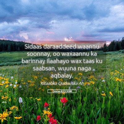 Picture 05 - Cesraa 8:23 SOM - Sidaas daraaddeed waannu soonnay, oo waxaannu ka - Bible Verse Picture