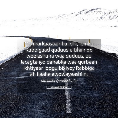 Picture 05 - Cesraa 8:28 SOM - Oo markaasaan ku idhi, Idinku Rabbigaad quduus u - Bible Verse Picture