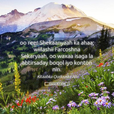Picture 05 - Cesraa 8:3 SOM - oo reer Shekaanyaah ka ahaa; wiilashii Farcoshna - Bible Verse Picture