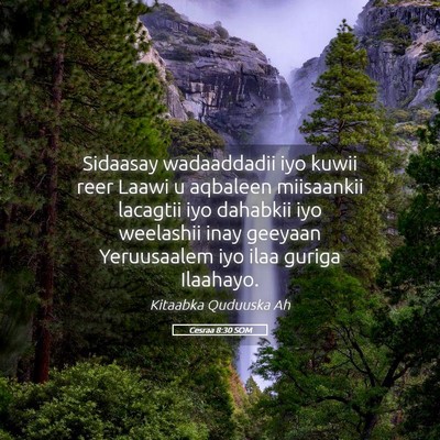 Picture 05 - Cesraa 8:30 SOM - Sidaasay wadaaddadii iyo kuwii reer Laawi u - Bible Verse Picture