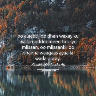 Picture 05 - Cesraa 8:34 SOM - oo alaabtii oo dhan waxay ku wada guddoomeen tiro - Bible Verse Picture