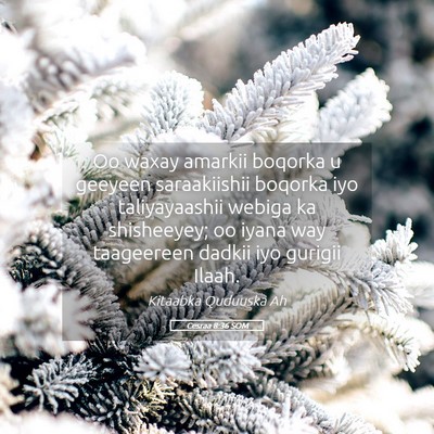 Picture 05 - Cesraa 8:36 SOM - Oo waxay amarkii boqorka u geeyeen saraakiishii - Bible Verse Picture