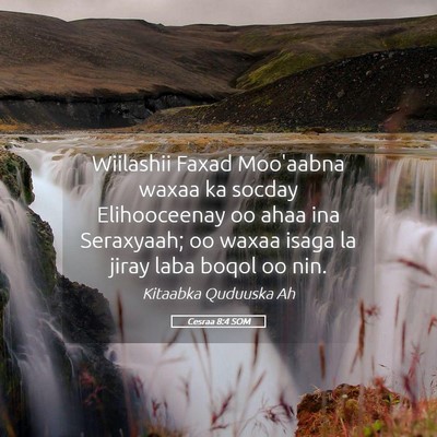 Picture 05 - Cesraa 8:4 SOM - Wiilashii Faxad Moo'aabna waxaa ka socday - Bible Verse Picture