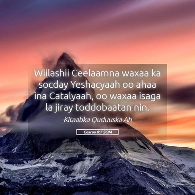 Picture 05 - Cesraa 8:7 SOM - Wiilashii Ceelaamna waxaa ka socday Yeshacyaah oo - Bible Verse Picture