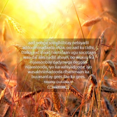 Picture 05 - Cesraa 9:11 SOM - aad noogu soo dhiibtay nebiyadii addoommadaada - Bible Verse Picture