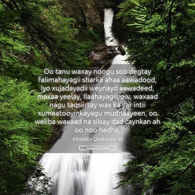 Picture 05 - Cesraa 9:13 SOM - Oo tanu waxay noogu soo degtay falimahayagii - Bible Verse Picture