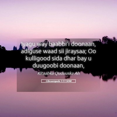 Picture 05 - Cibraaniyada 1:11 SOM - Iyagu way baabbi'i doonaan, adiguse waad sii - Bible Verse Picture