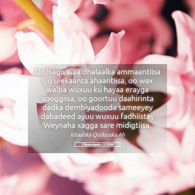 Picture 05 - Cibraaniyada 1:3 SOM - Oo isagu waa dhalaalka ammaantiisa iyo u-ekaanta - Bible Verse Picture