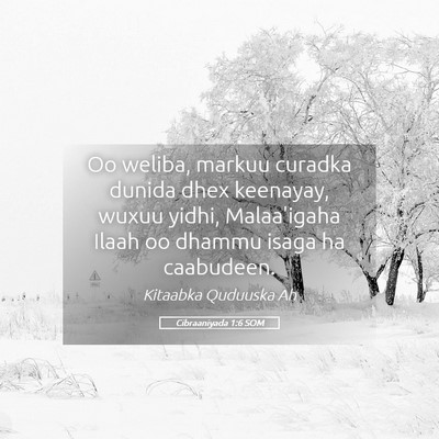Picture 05 - Cibraaniyada 1:6 SOM - Oo weliba, markuu curadka dunida dhex keenayay, - Bible Verse Picture