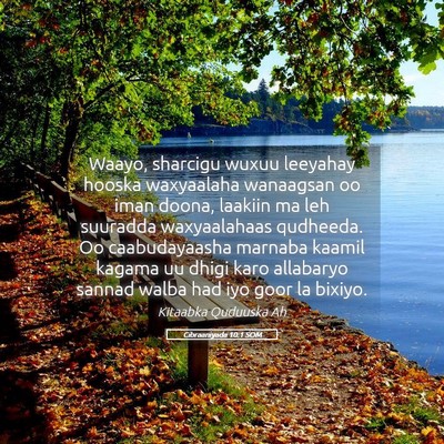 Picture 05 - Cibraaniyada 10:1 SOM - Waayo, sharcigu wuxuu leeyahay hooska waxyaalaha - Bible Verse Picture
