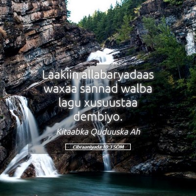 Picture 05 - Cibraaniyada 10:3 SOM - Laakiin allabaryadaas waxaa sannad walba lagu - Bible Verse Picture