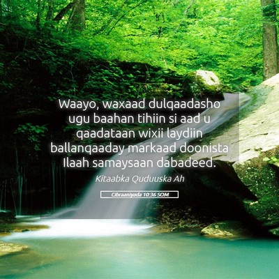 Picture 05 - Cibraaniyada 10:36 SOM - Waayo, waxaad dulqaadasho ugu baahan tihiin si - Bible Verse Picture