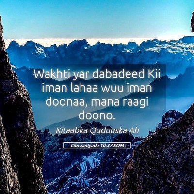 Picture 05 - Cibraaniyada 10:37 SOM - Wakhti yar dabadeed Kii iman lahaa wuu iman - Bible Verse Picture