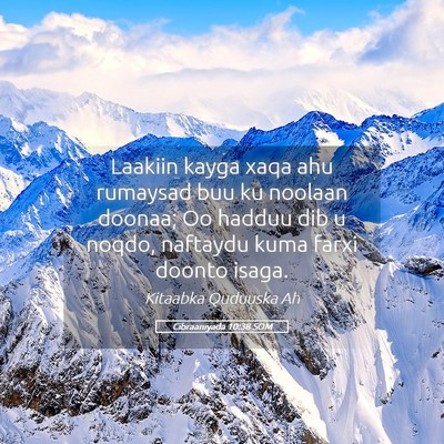 Picture 05 - Cibraaniyada 10:38 SOM - Laakiin kayga xaqa ahu rumaysad buu ku noolaan - Bible Verse Picture